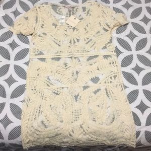 Blue pepper sheer lace dress